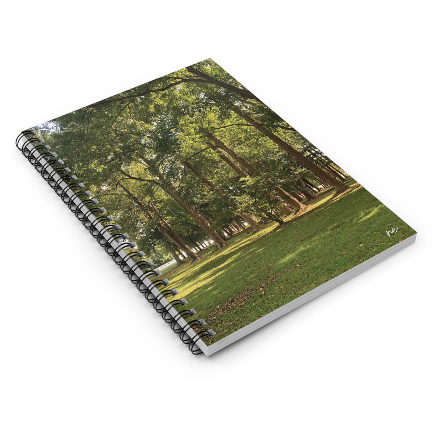 Walk In The Park  - Spiral Notebook - Ruled Line